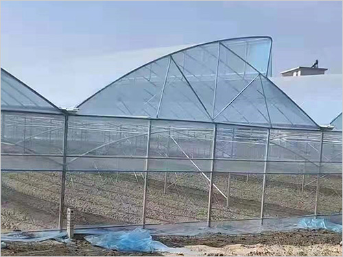 連棟溫室